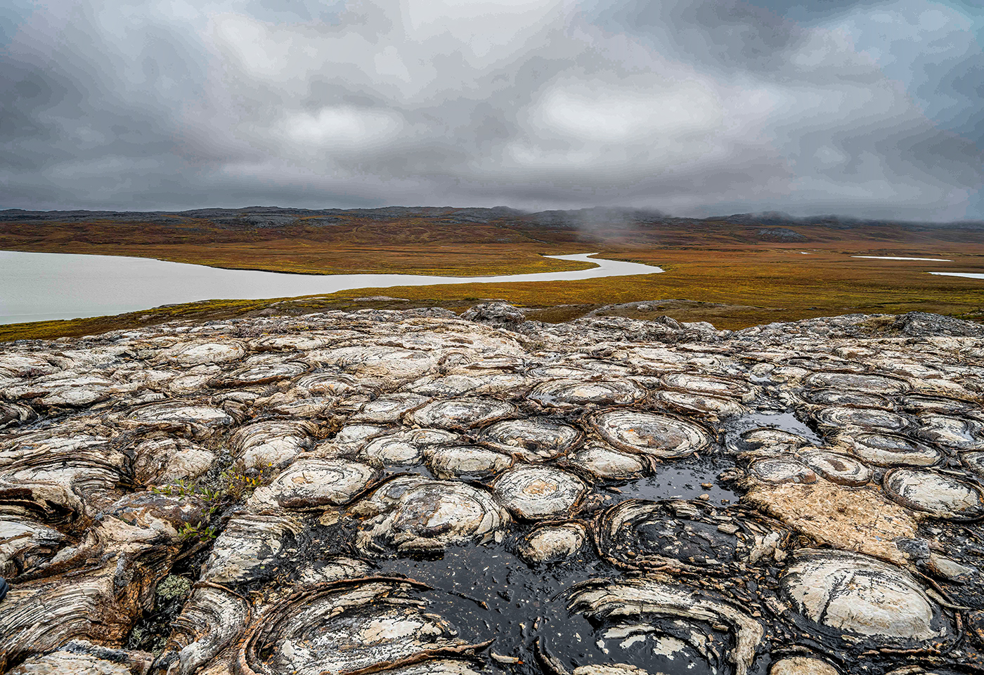 powell gallery Catherine Au Nunavut landscape with stromatolites