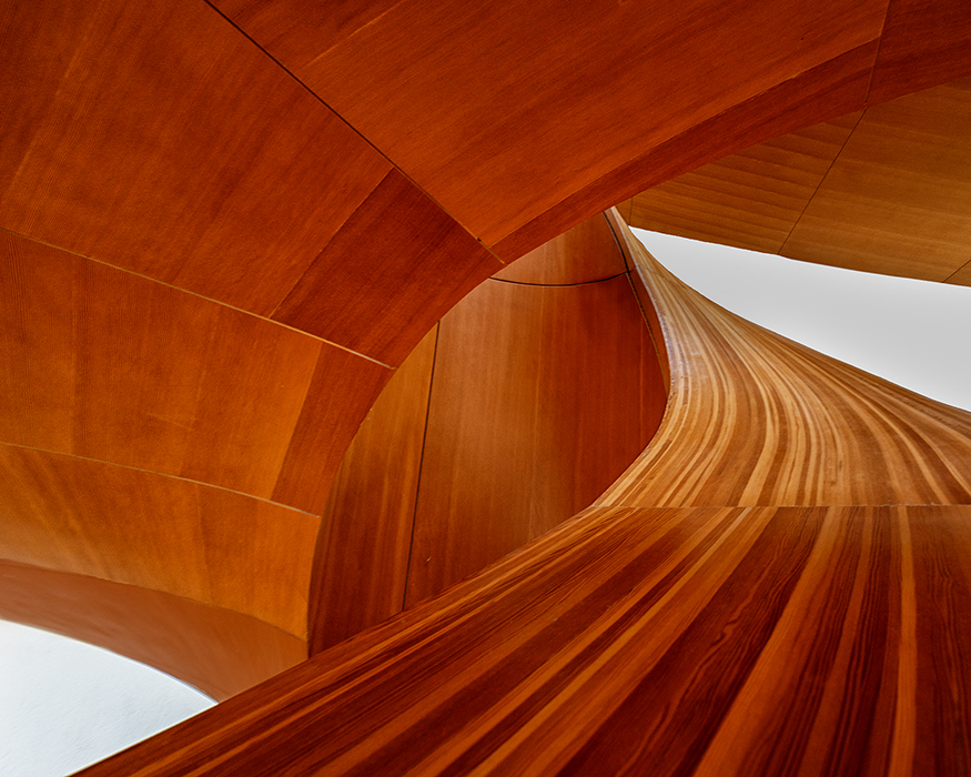 Emotion in motion Saoirse Cullen