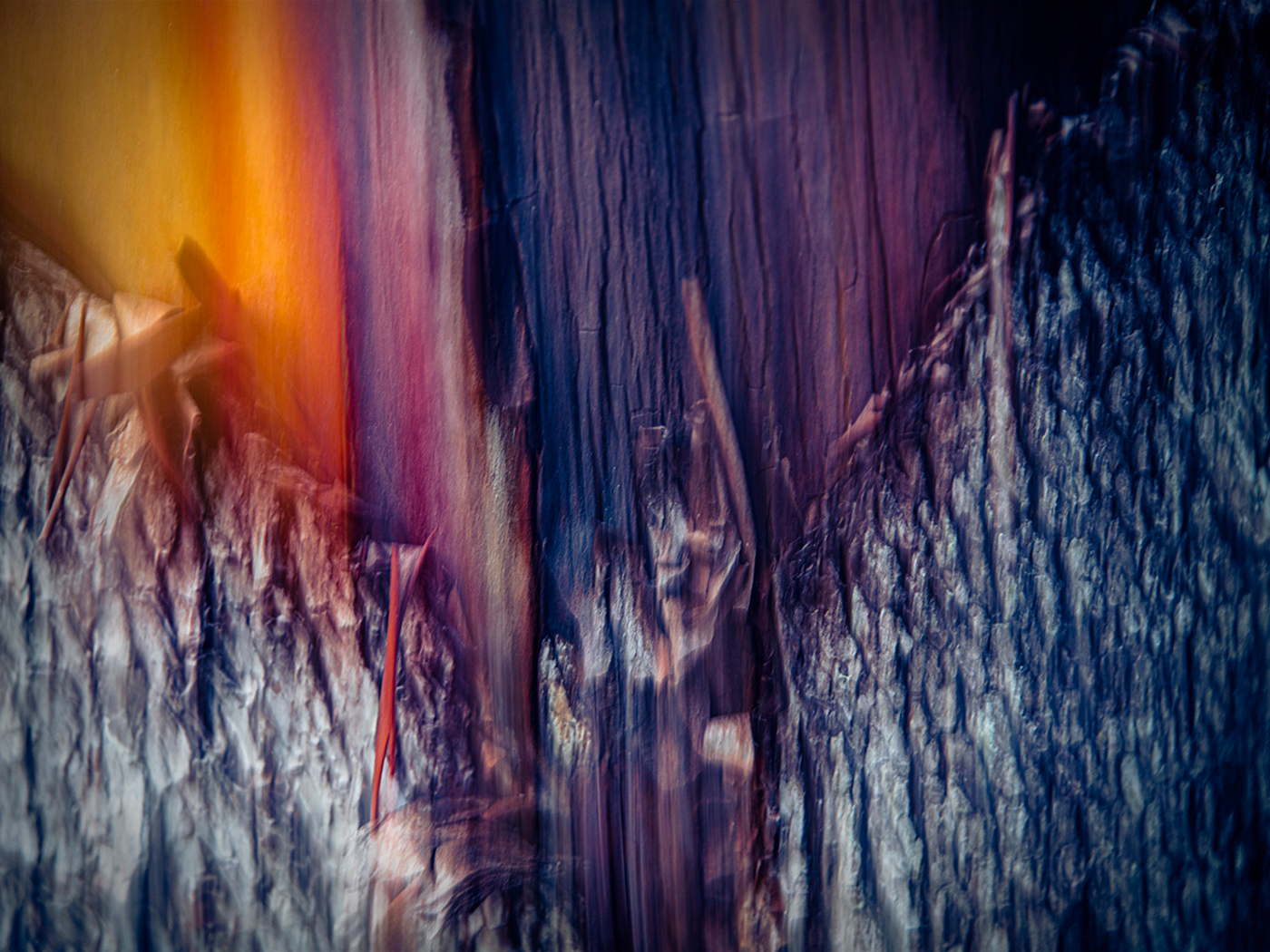 Nature Unbound by Pat Zuest
