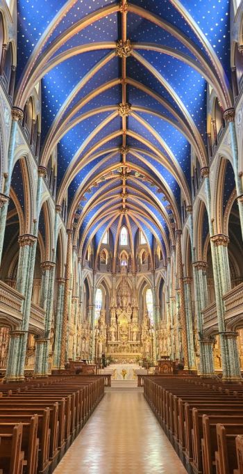 <p>Image Credit:&nbsp;Melanie Lopes, Compostela</p>